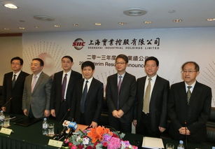 上海實業續力拓光伏項目